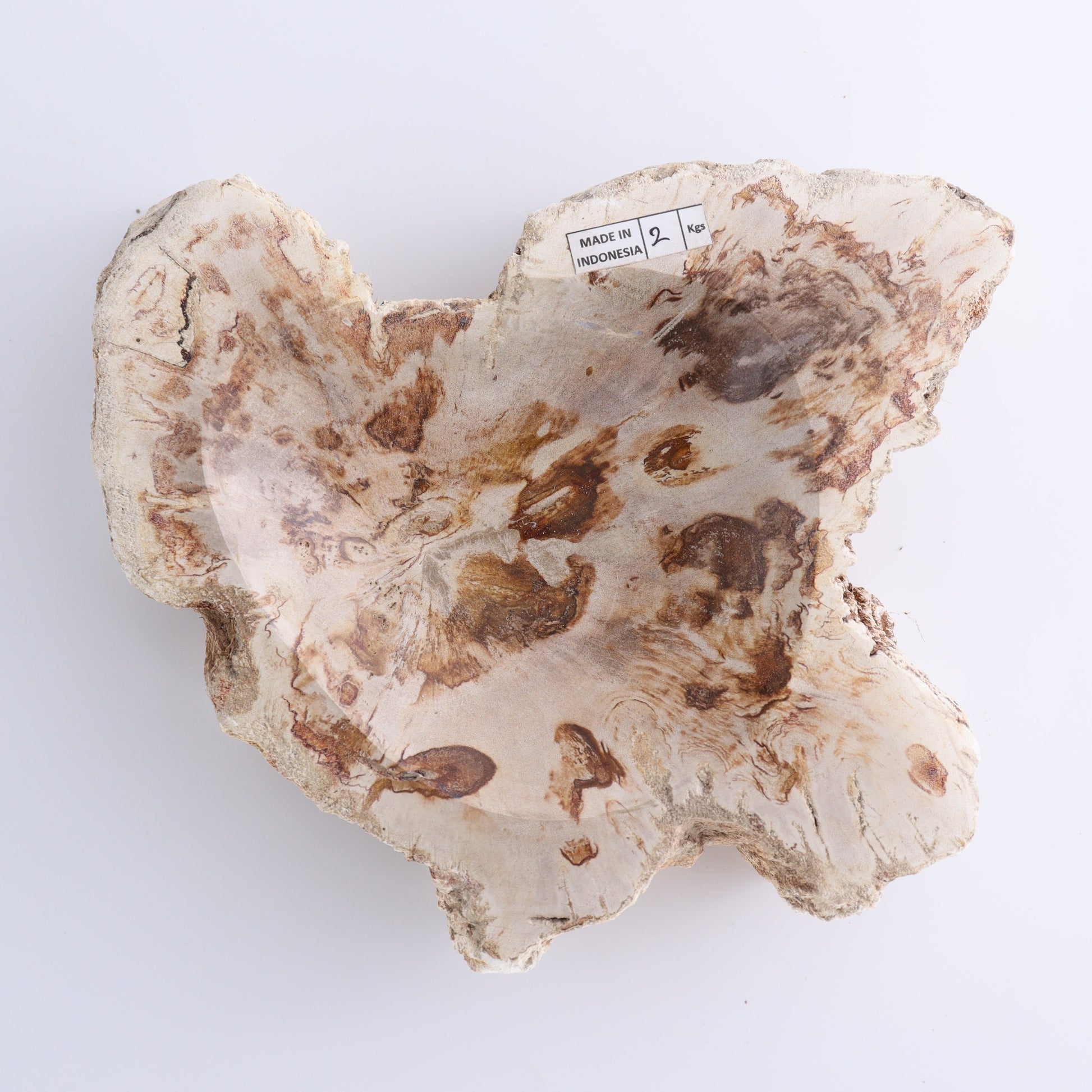 Petrified Wood Bowls Set of 2 - Expert Wholesale and Supplier of Wholesale Crystals & Bulk Gemstones, ["Bowls","Indonesia","Petrified Wood"]