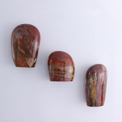 Petrified Wood Freeform Set of 3 - Expert Wholesale and Supplier of Wholesale Crystals & Bulk Gemstones, ["Freeforms","Madagascar","Petrified Wood"]