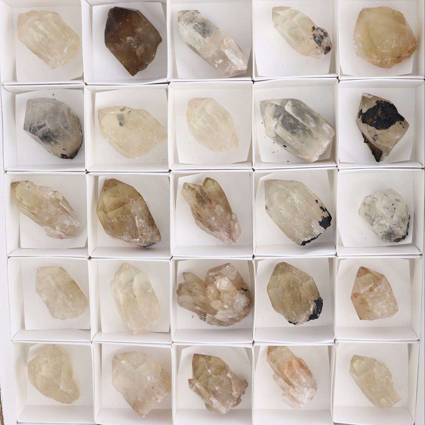 Congo Citrine Set of 35