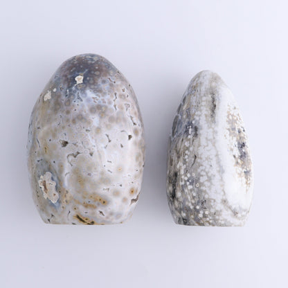 Ocean Jasper Freeform Set of 2 - Expert Wholesale and Supplier of Wholesale Crystals & Bulk Gemstones, ["Freeforms","jasper","Ocean Jasper"]