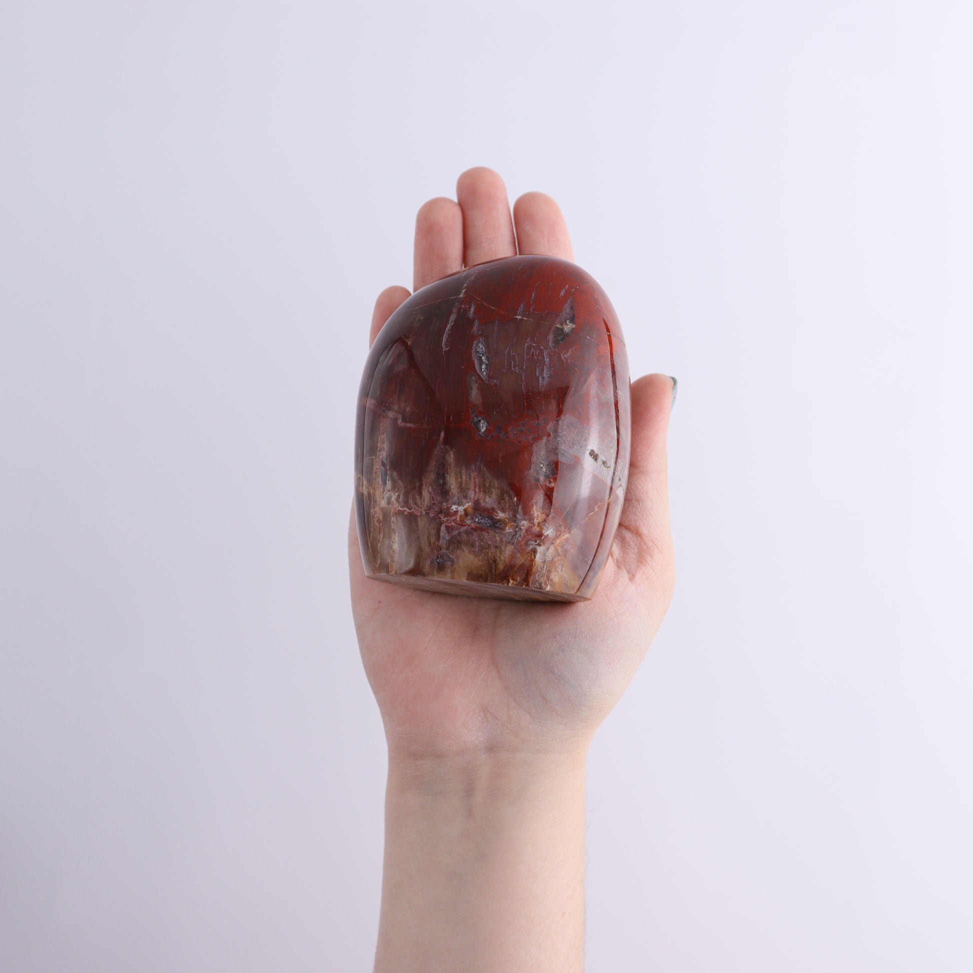Petrified Wood Freeform Set of 3 - Expert Wholesale and Supplier of Wholesale Crystals & Bulk Gemstones, ["Freeforms","Madagascar","Petrified Wood"]