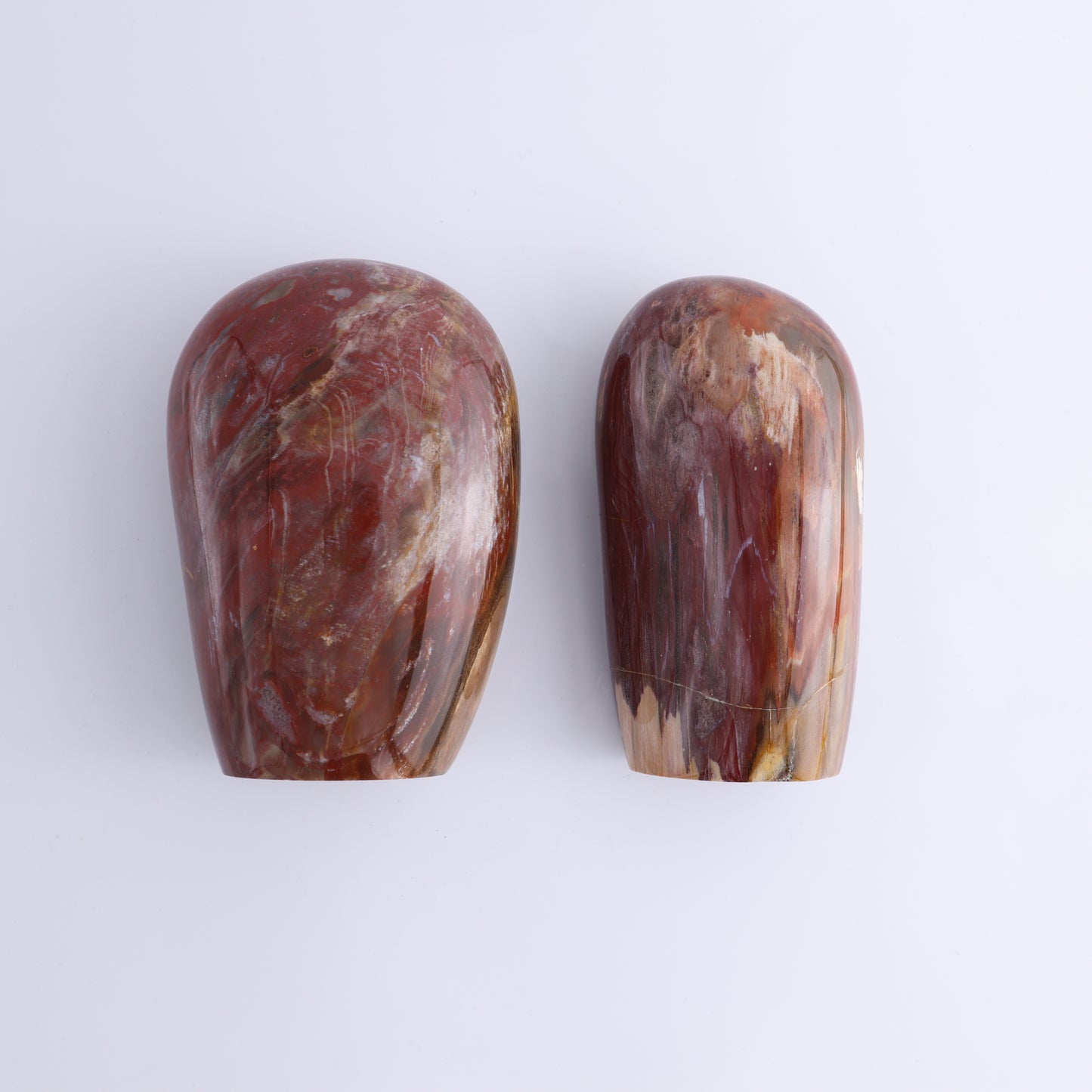 Petrified Wood Freeform Set of 3 - Expert Wholesale and Supplier of Wholesale Crystals & Bulk Gemstones, ["Freeforms","Madagascar","Petrified Wood"]