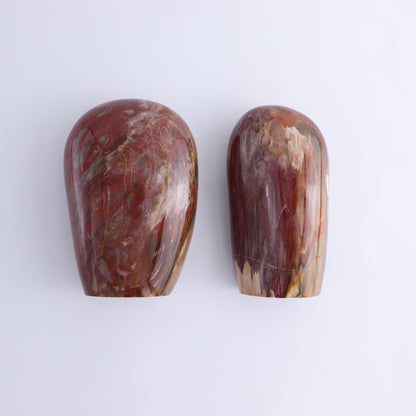 Petrified Wood Freeform Set of 3 - Expert Wholesale and Supplier of Wholesale Crystals & Bulk Gemstones, ["Freeforms","Madagascar","Petrified Wood"]