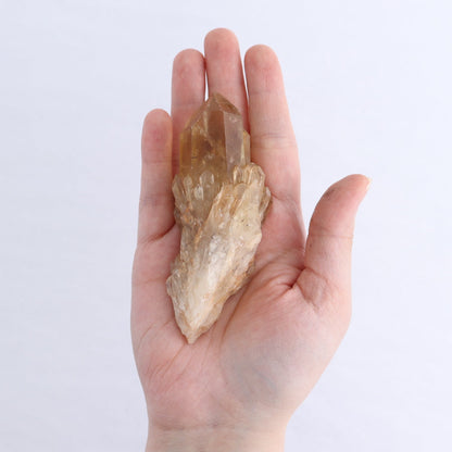 Congo Citrine Set of 12