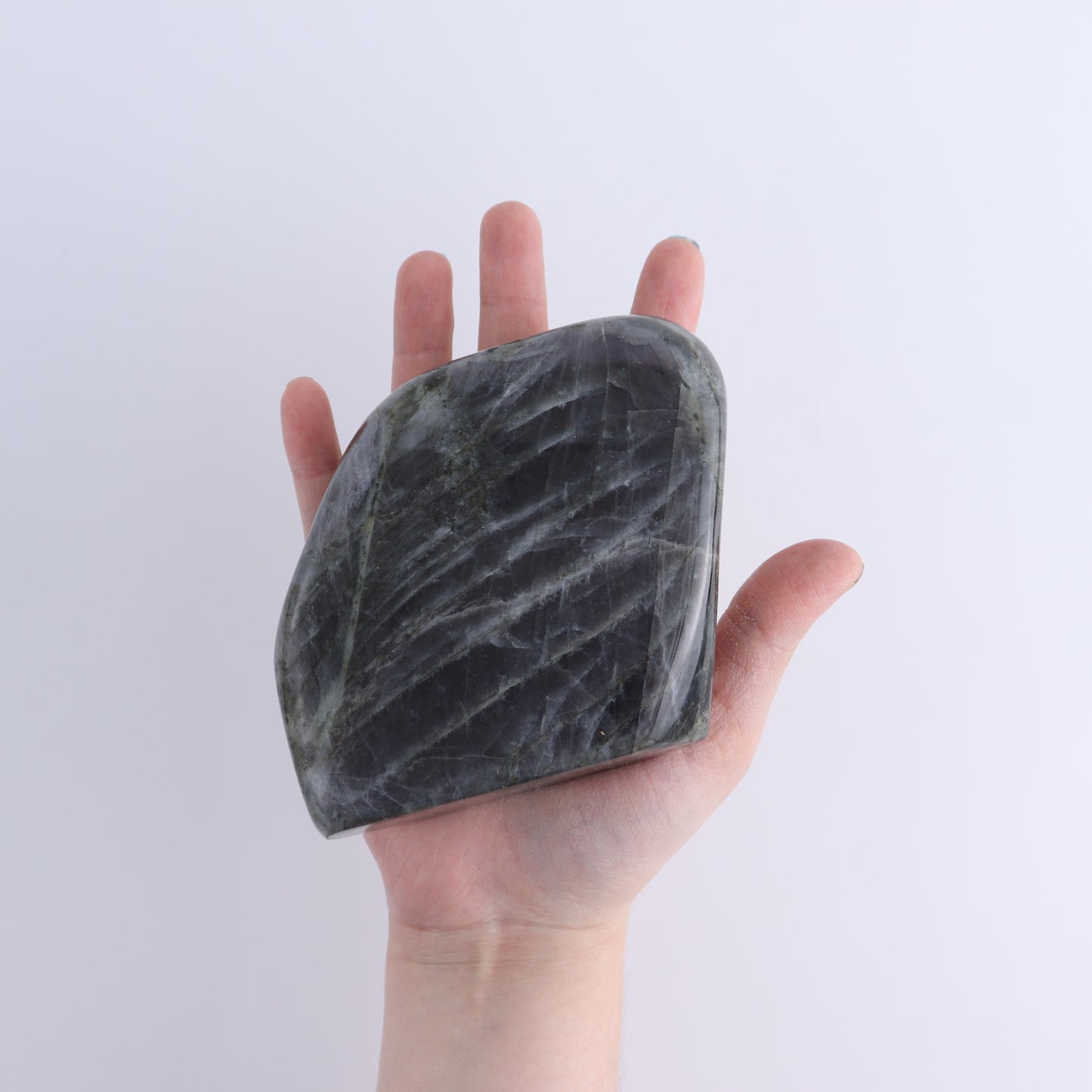 Labradorite Freeform Set of 5
