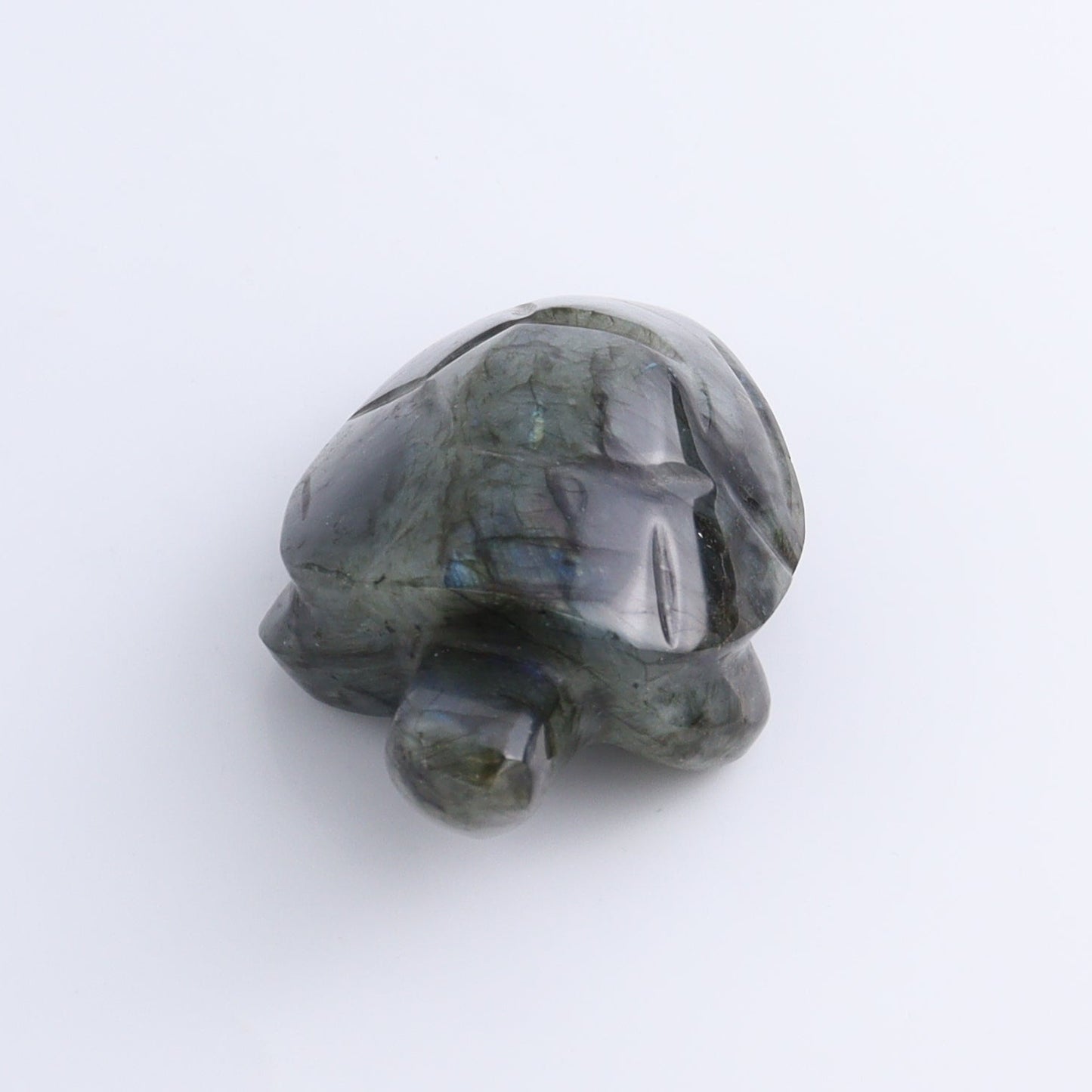 Labradorite Turtles Set of 5