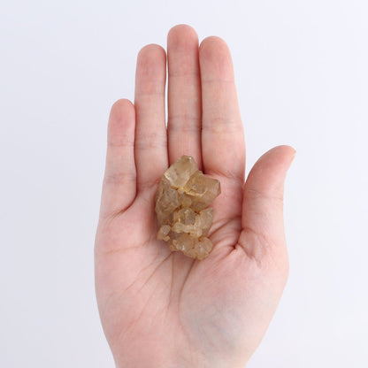Congo Citrine Set of 35