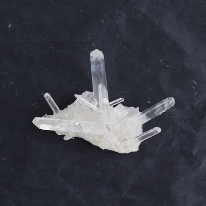 Lemurian Clusters from Columbia Set of 6