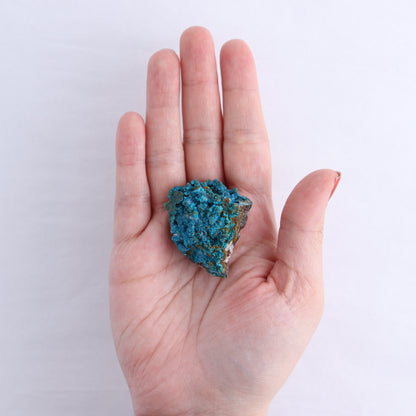 Chrysocolla on Quartz Roughs Set of 17