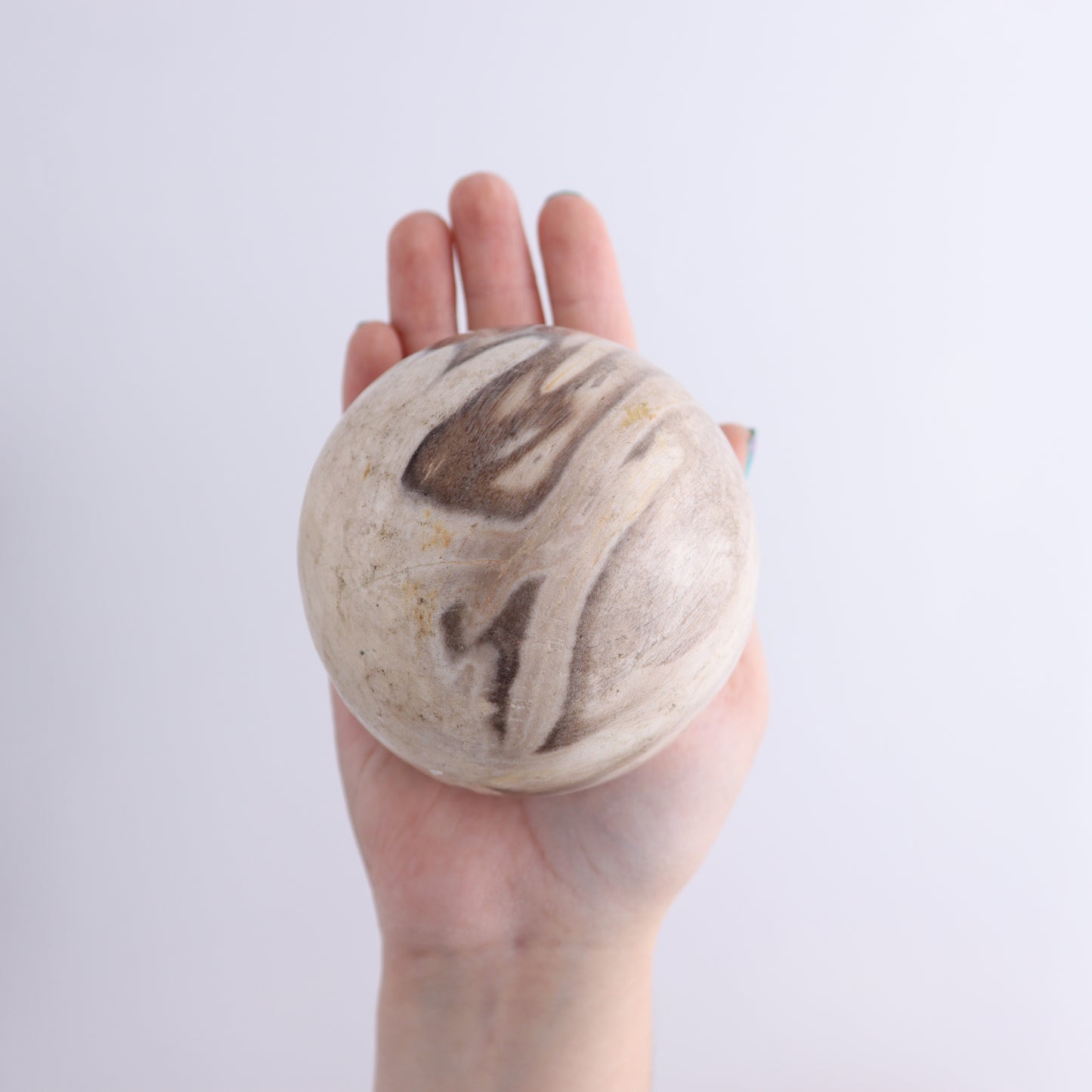 Petrified Wood Spheres Set of 4 - Expert Wholesale and Supplier of Wholesale Crystals & Bulk Gemstones, ["Indonesia","Petrified Wood","Spheres"]