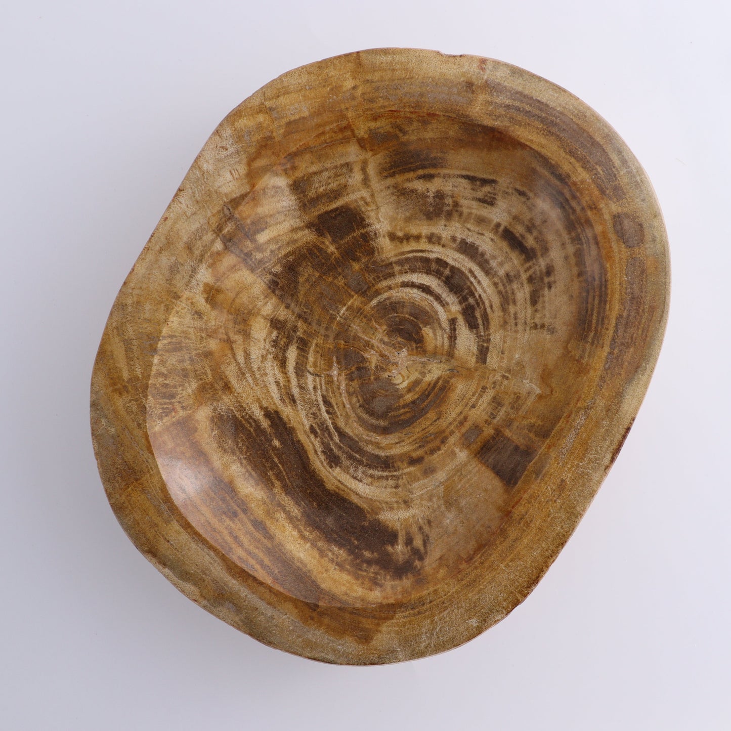Petrified Wood Bowl - Expert Wholesale and Supplier of Wholesale Crystals & Bulk Gemstones, ["Bowls","Indonesia","Petrified Wood"]