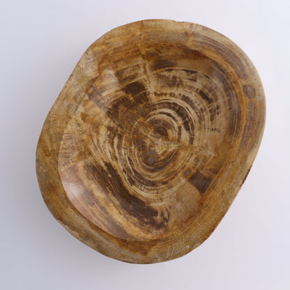 Petrified Wood Bowl - Expert Wholesale and Supplier of Wholesale Crystals & Bulk Gemstones, ["Bowls","Indonesia","Petrified Wood"]