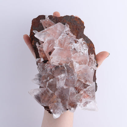 Naica Selenite Flat Set of 3 - Expert Wholesale and Supplier of Wholesale Crystals & Bulk Gemstones, ["Naica Selenite","selenite"]
