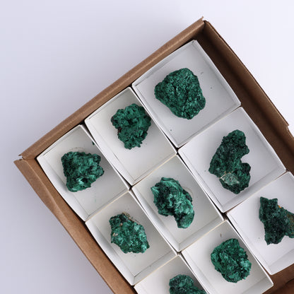 Malachite Freeforms Set of 9