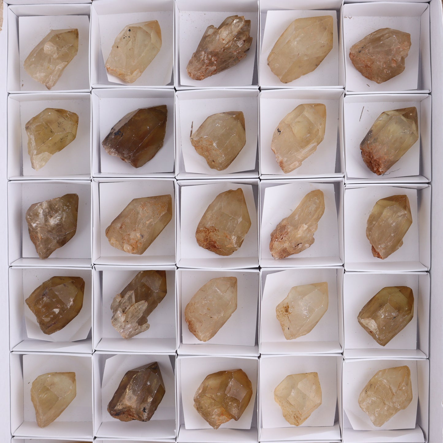 Congo Citrine Set of 35