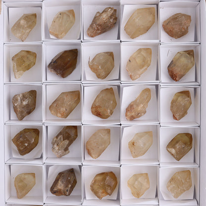Congo Citrine Set of 35