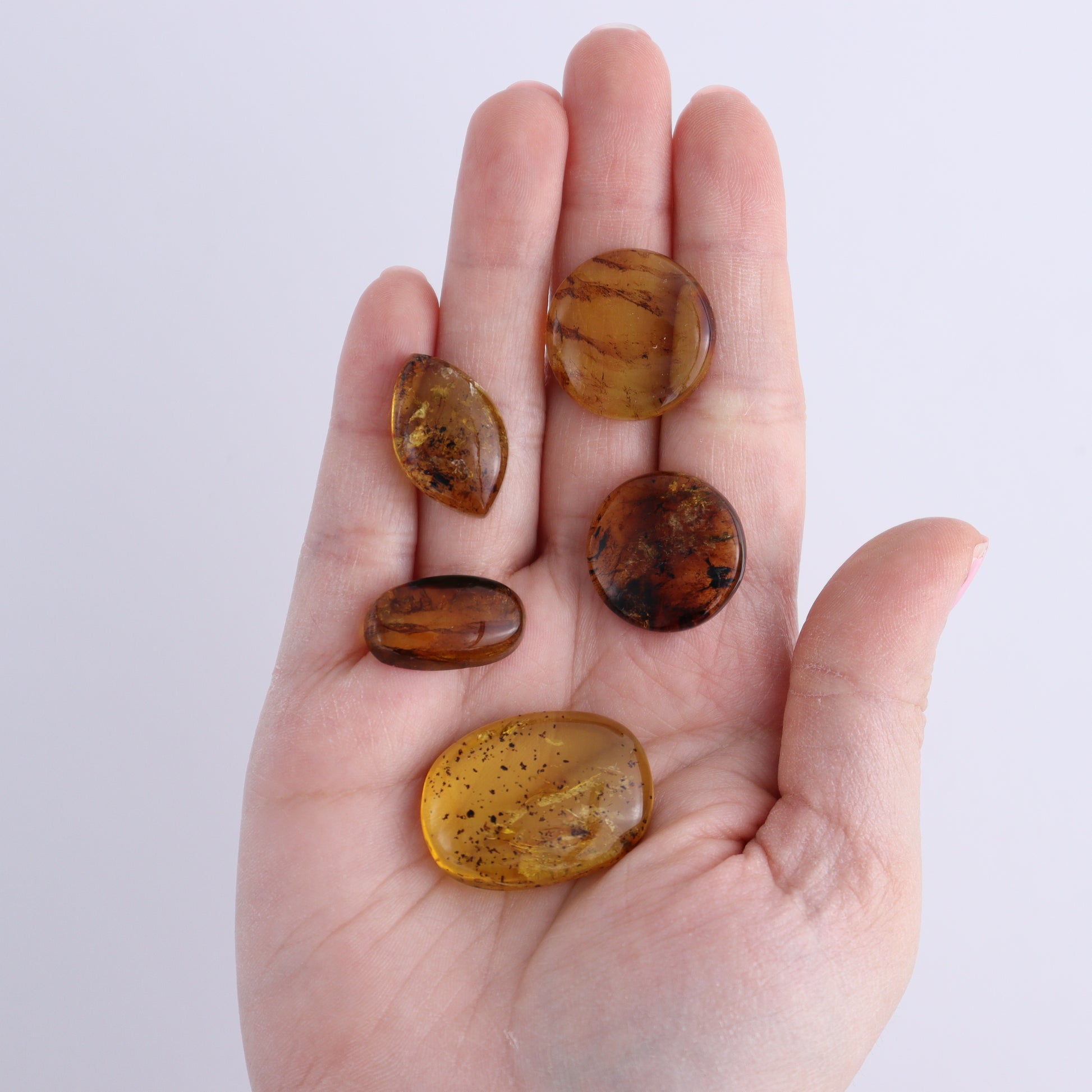 Chiapas Mexico Amber Cabs Set of 5 - Expert Wholesale and Supplier of Wholesale Crystals & Bulk Gemstones, ["Amber","Cabs","Chiapas Amber","Mexico"]