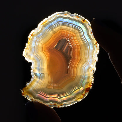 Iris Agate Slices Set of 8 - Expert Wholesale and Supplier of Wholesale Crystals & Bulk Gemstones, ["Agate","Iris Agate","Slices and Slabs"]