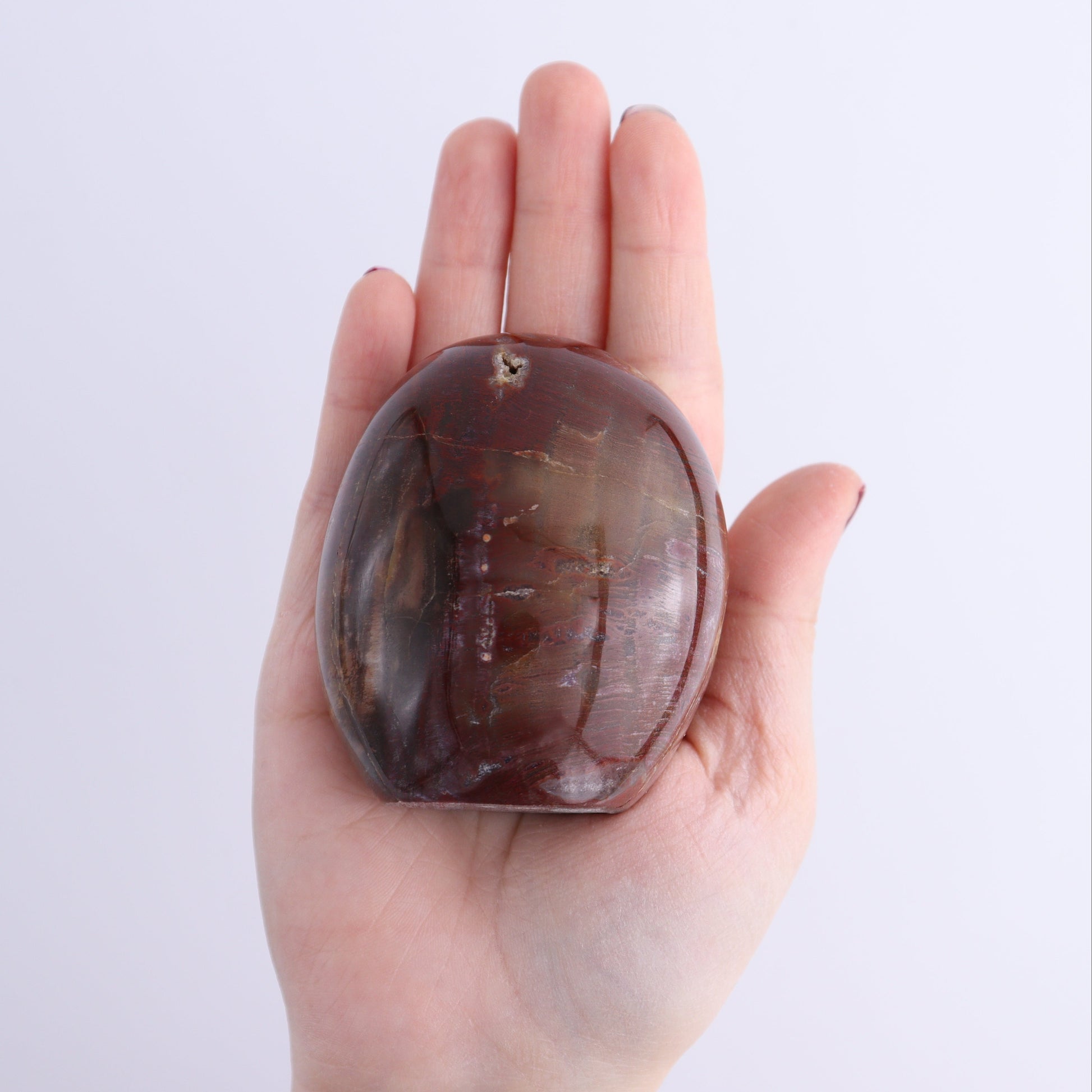 Petrified Wood Freeforms Set of 6 - Expert Wholesale and Supplier of Wholesale Crystals & Bulk Gemstones, ["Freeform","Freeforms","Madagascar","Petrified Wood"]