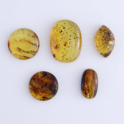 Chiapas Mexico Amber Cabs Set of 5 - Expert Wholesale and Supplier of Wholesale Crystals & Bulk Gemstones, ["Amber","Cabs","Chiapas Amber","Mexico"]