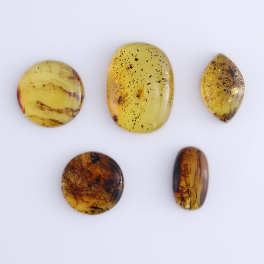 Chiapas Mexico Amber Cabs Set of 5 - Expert Wholesale and Supplier of Wholesale Crystals & Bulk Gemstones, ["Amber","Cabs","Chiapas Amber","Mexico"]