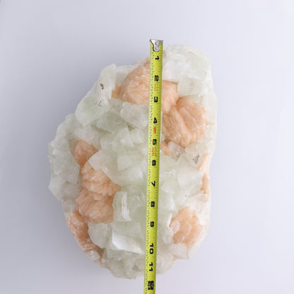 Large Apophyllite Cluster - Expert Wholesale and Supplier of Wholesale Crystals & Bulk Gemstones, ["Apophyllite","close_50","Clusters"]