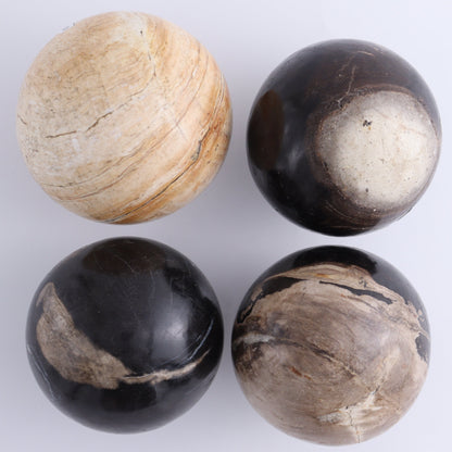 Petrified Wood Spheres Set of 4 - Expert Wholesale and Supplier of Wholesale Crystals & Bulk Gemstones, ["Indonesia","Petrified Wood","Spheres"]