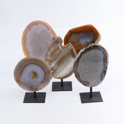 Agate on Pins Set of 5 - Expert Wholesale and Supplier of Wholesale Crystals & Bulk Gemstones, ["Agate","Brazil","close_50","On Pins"]