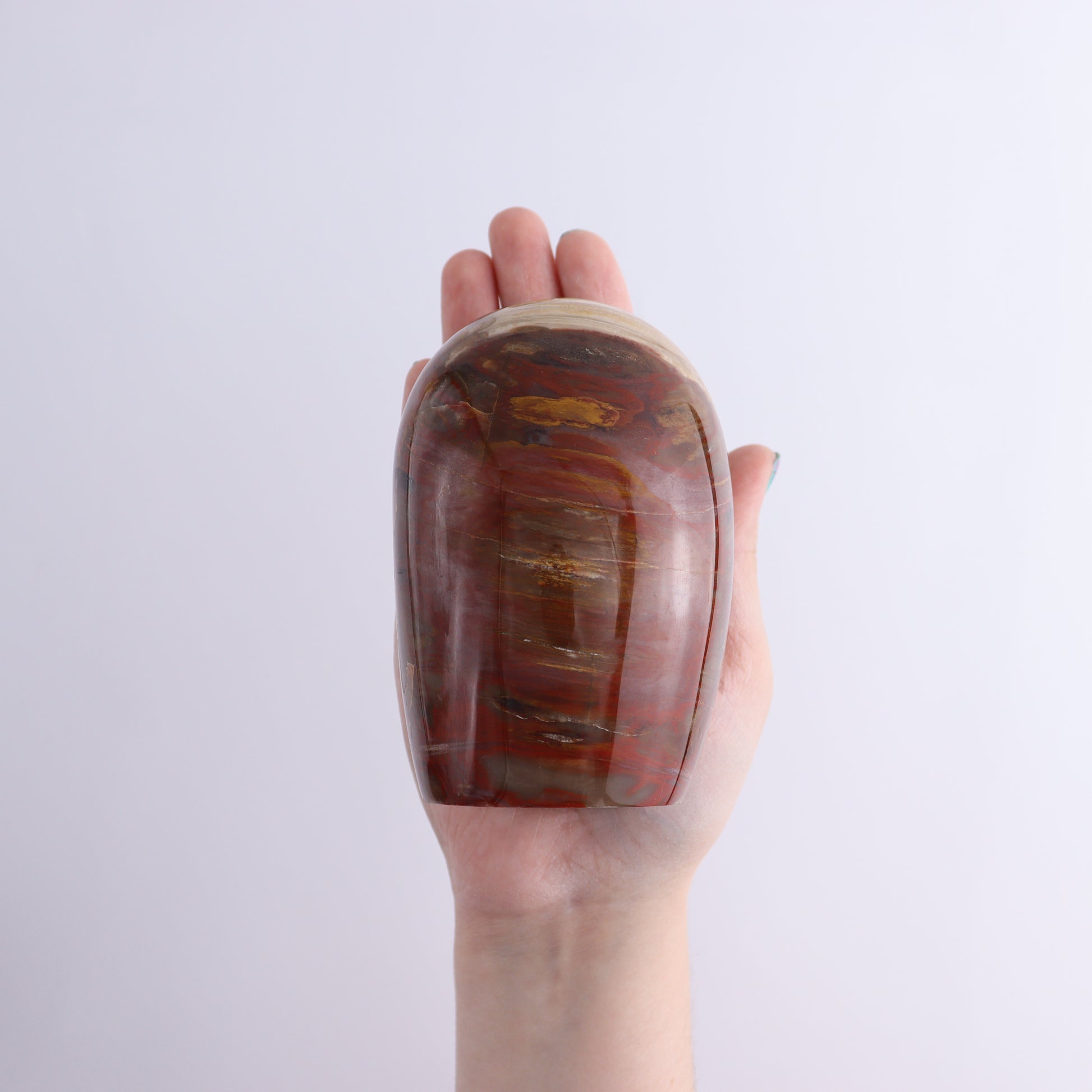 Petrified Wood Freeform Set of 3 - Expert Wholesale and Supplier of Wholesale Crystals & Bulk Gemstones, ["Freeforms","Madagascar","Petrified Wood"]