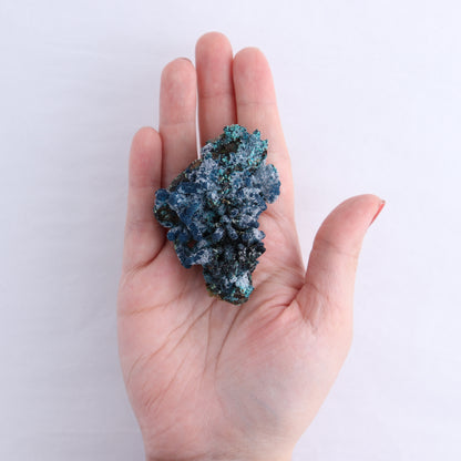 Chrysocolla on Quartz Roughs Set of 17