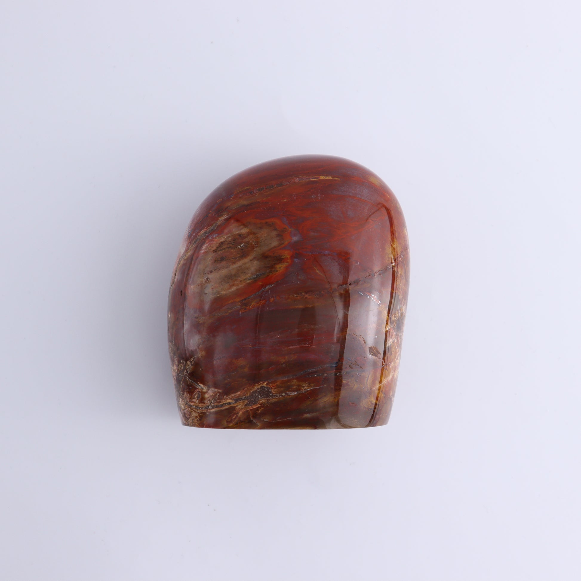 Petrified Wood Freeform Set of 3 - Expert Wholesale and Supplier of Wholesale Crystals & Bulk Gemstones, ["Freeforms","Madagascar","Petrified Wood"]