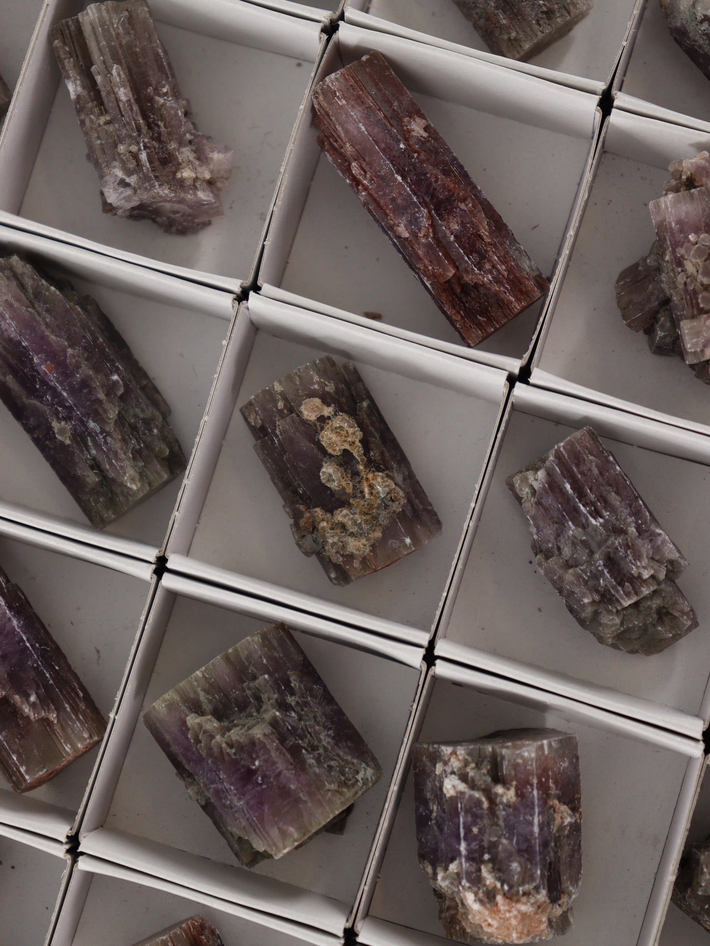 Purple Aragonite Flat Set of 54