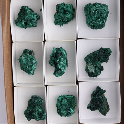 Malachite Freeforms Set of 9