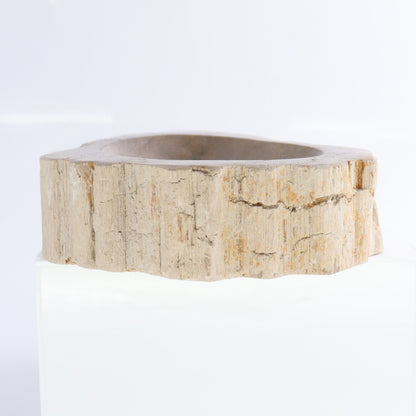 Petrified Wood Bowls Set of 2 - Expert Wholesale and Supplier of Wholesale Crystals & Bulk Gemstones, ["Bowls","Indonesia","Petrified Wood"]