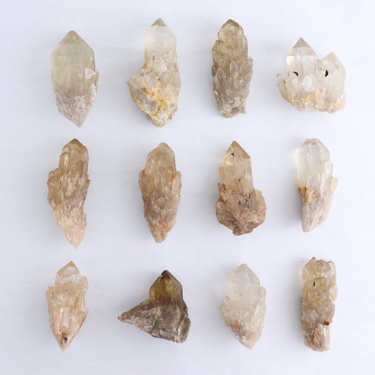 Congo Citrine Set of 12