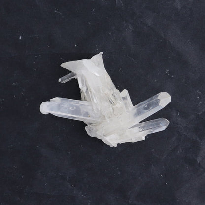 Lemurian Clusters from Columbia Set of 6