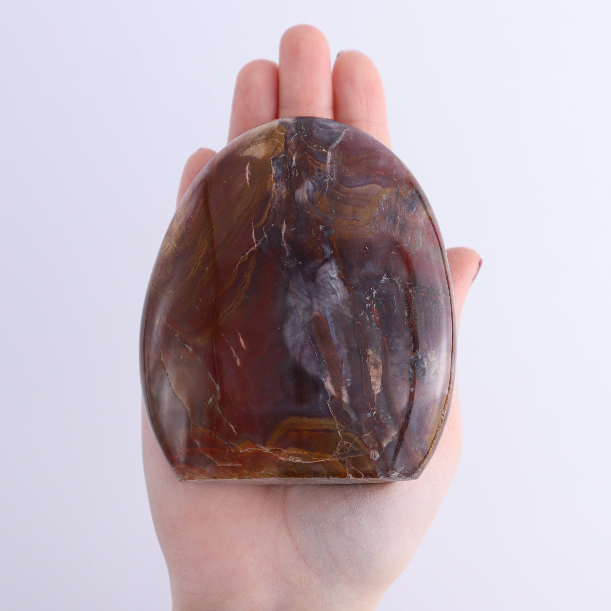 Petrified Wood Freeforms Set of 6 - Expert Wholesale and Supplier of Wholesale Crystals & Bulk Gemstones, ["Freeform","Freeforms","Madagascar","Petrified Wood"]