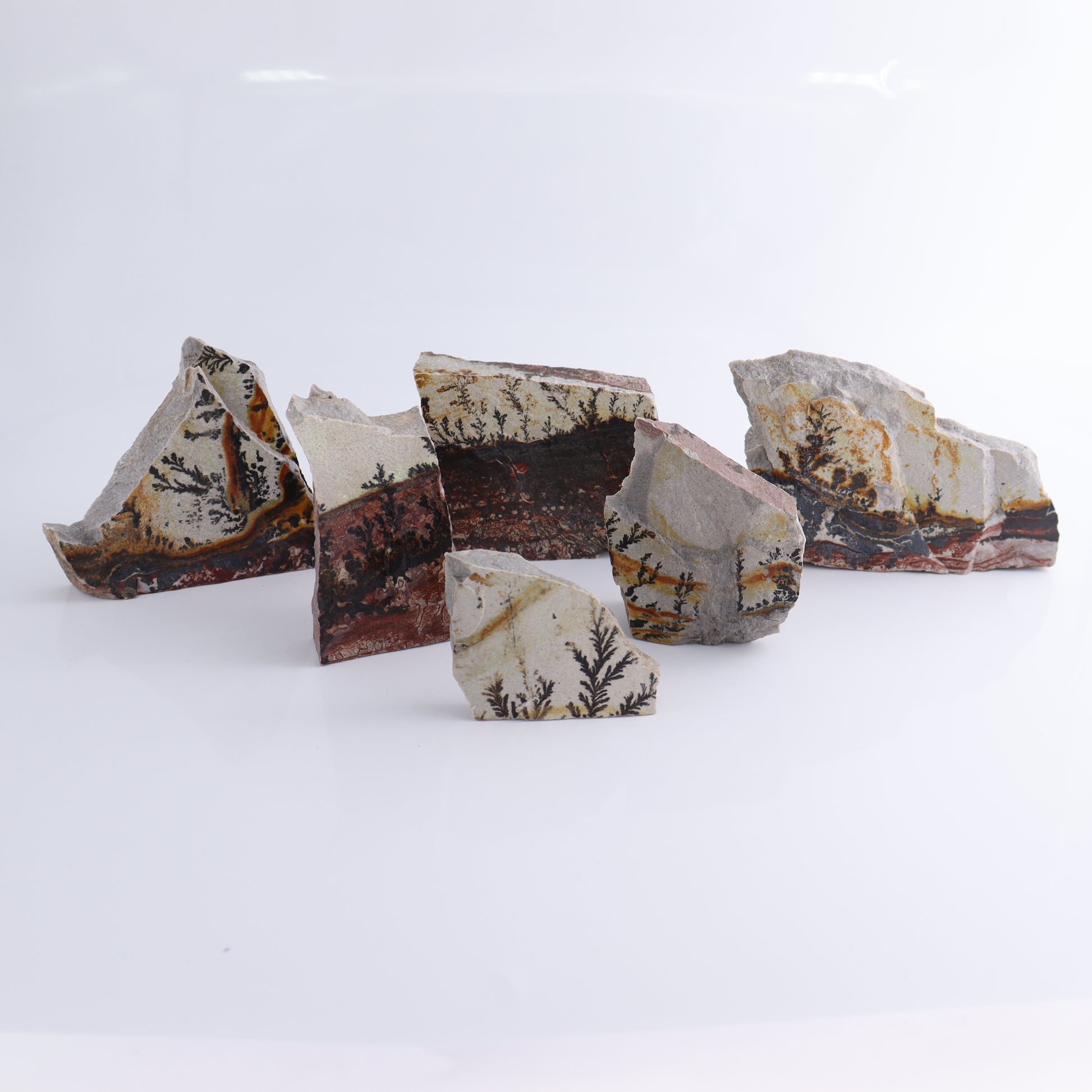 Dendrites Flat Set of 6 - Expert Wholesale and Supplier of Wholesale Crystals & Bulk Gemstones, ["Dendrite","Flats"]