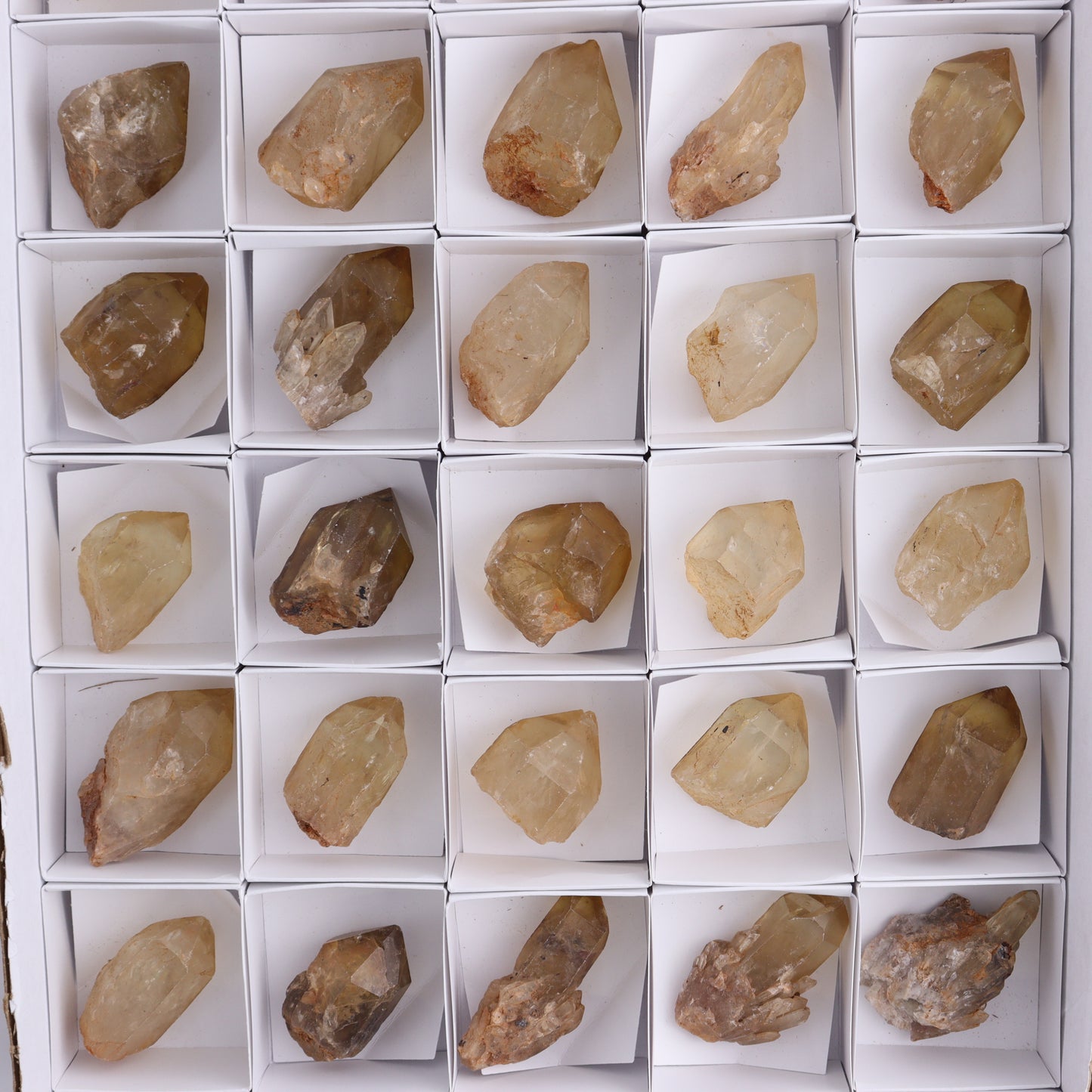 Congo Citrine Set of 35