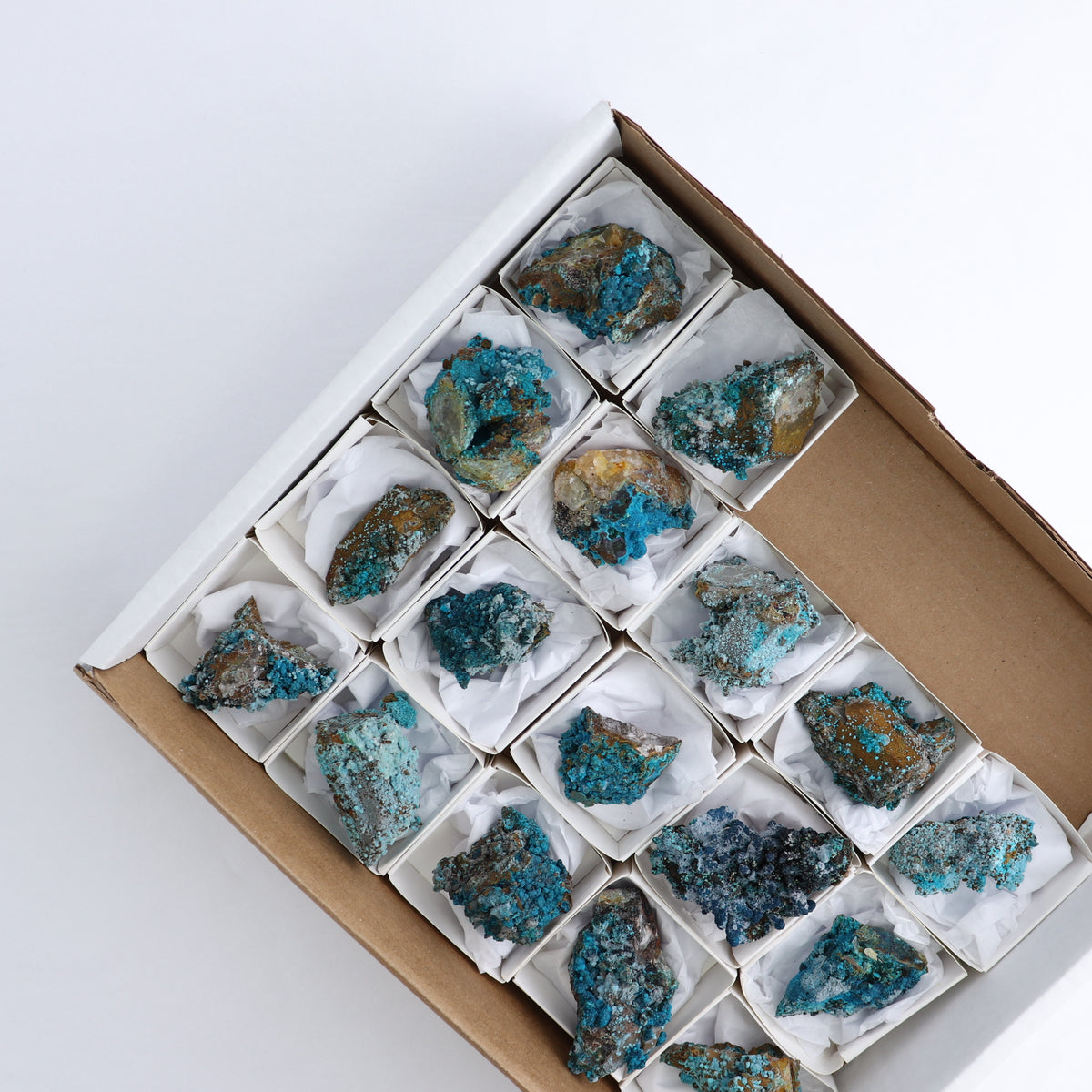 Chrysocolla on Quartz Roughs Set of 17