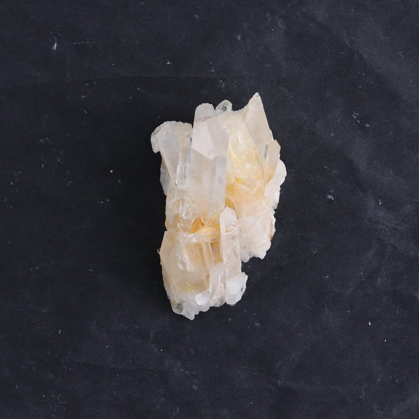 Lemurian Clusters from Columbia Set of 6