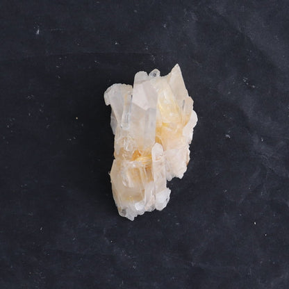 Lemurian Clusters from Columbia Set of 6