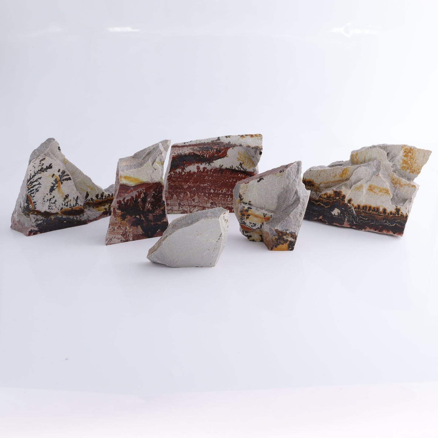 Dendrites Flat Set of 6 - Expert Wholesale and Supplier of Wholesale Crystals & Bulk Gemstones, ["Dendrite","Flats"]