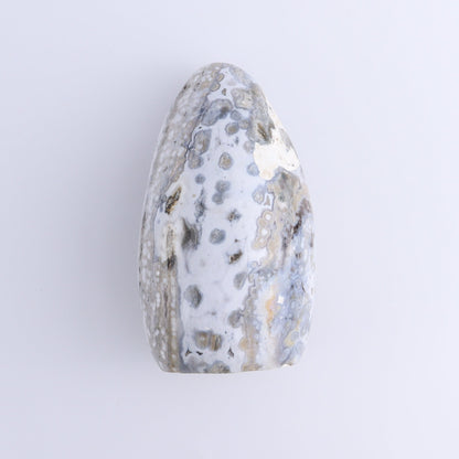 Ocean Jasper Freeform Set of 2 - Expert Wholesale and Supplier of Wholesale Crystals & Bulk Gemstones, ["Freeforms","jasper","Ocean Jasper"]
