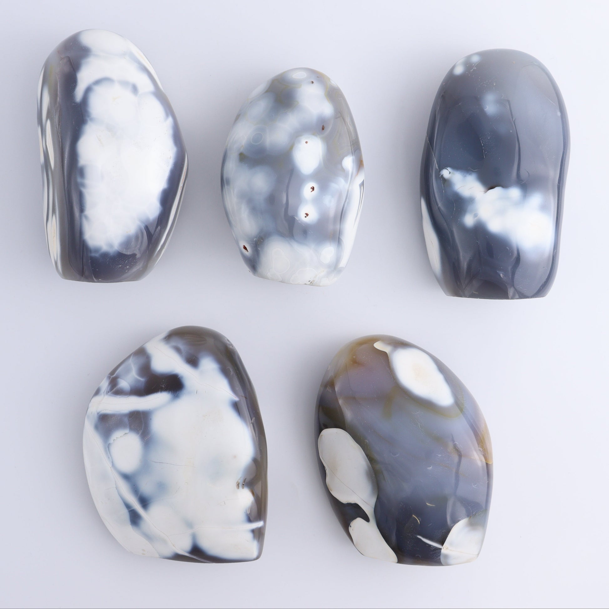 Orca Agate Freeform Set of 5 - Expert Wholesale and Supplier of Wholesale Crystals & Bulk Gemstones, ["Freeforms","Madagascar","Orca Agate"]