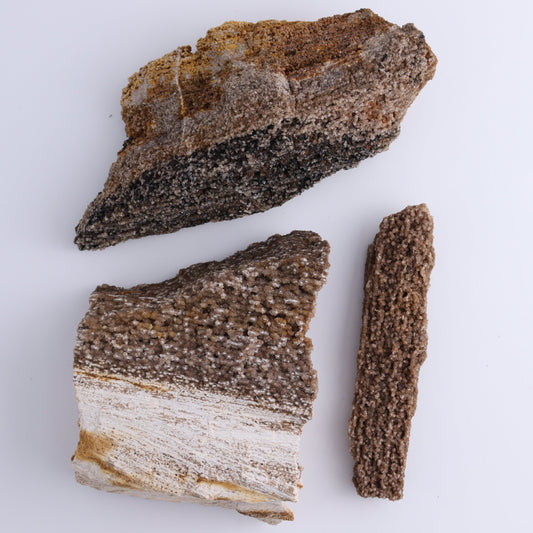 Petrified Wood Rough Set of 3 - Expert Wholesale and Supplier of Wholesale Crystals & Bulk Gemstones, ["Freeforms","Petrified Wood","Rough"]