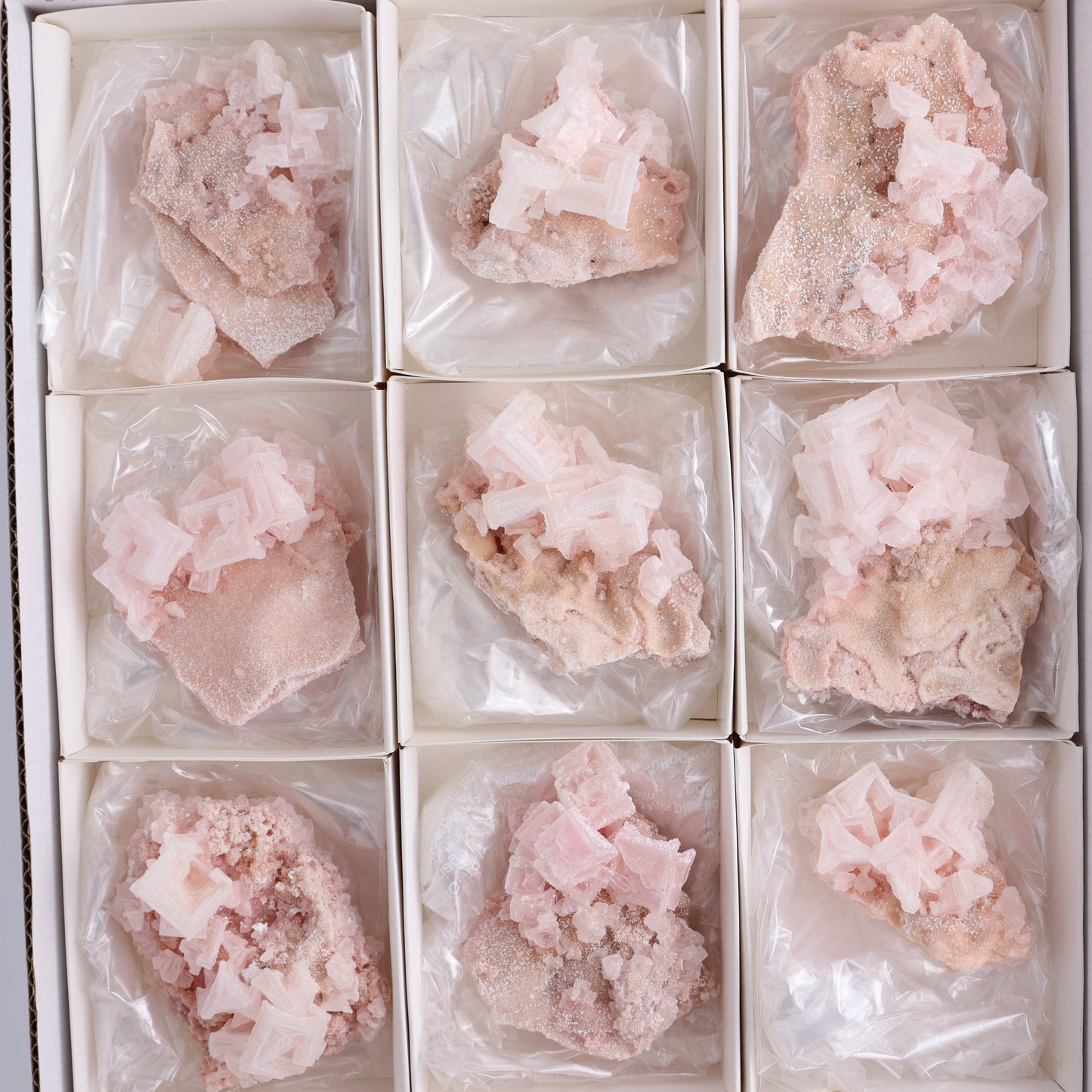 Searles Lake Halite Flat of 12 - Expert Wholesale and Supplier of Wholesale Crystals & Bulk Gemstones, ["Flats","Halite","United States"]