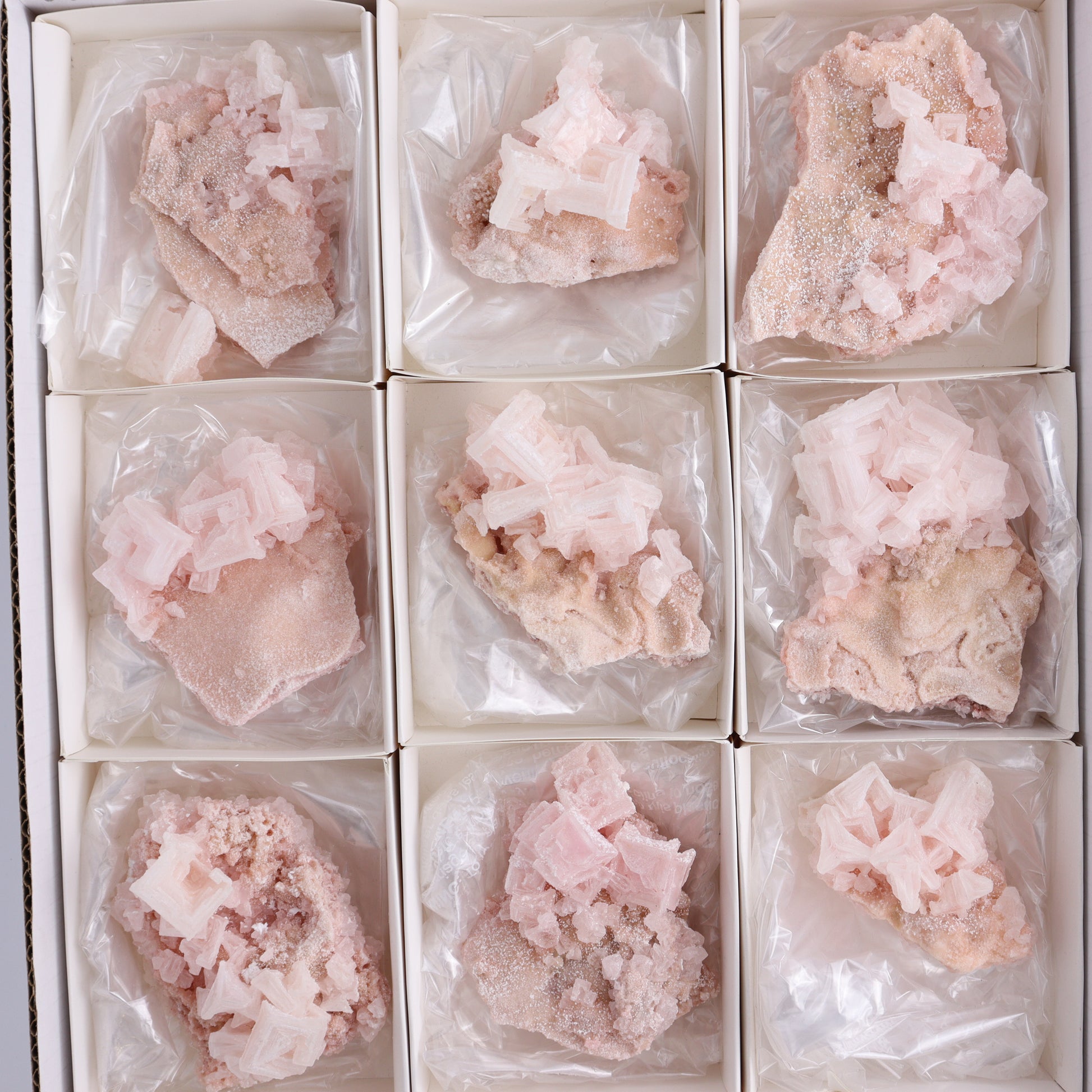 Searles Lake Halite Flat of 12 - Expert Wholesale and Supplier of Wholesale Crystals & Bulk Gemstones, ["Flats","Halite","United States"]