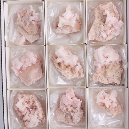 Searles Lake Halite Flat of 12 - Expert Wholesale and Supplier of Wholesale Crystals & Bulk Gemstones, ["Flats","Halite","United States"]