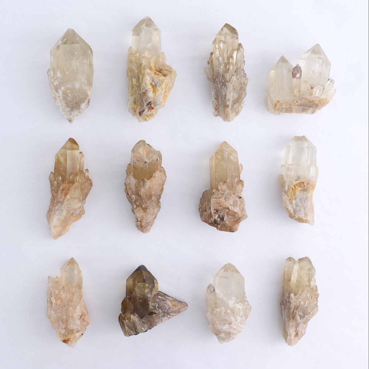 Congo Citrine Set of 12